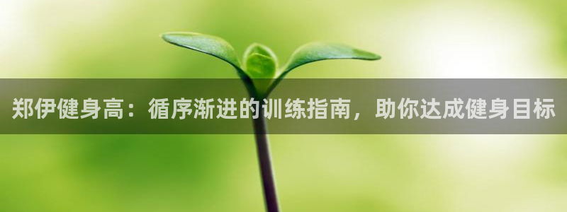 国际龙8官网pt客户端