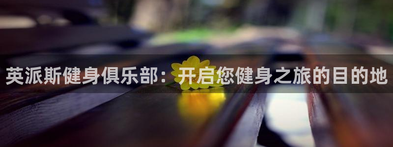 龙8国际平台