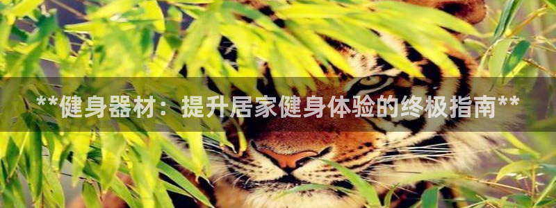 龙8国际会员注册