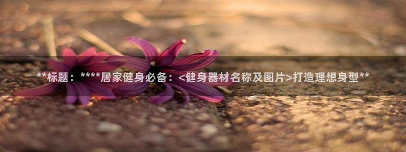 龙8国际登录