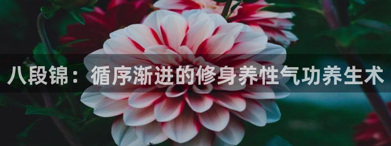 龙8国际首页