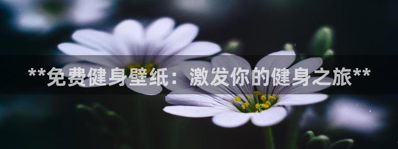 龙8国际版
