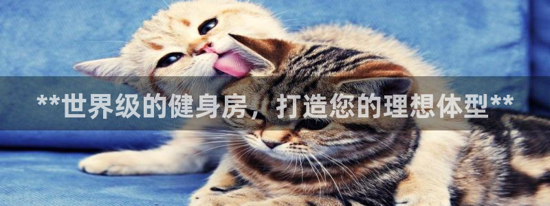 龙8国际pt官网