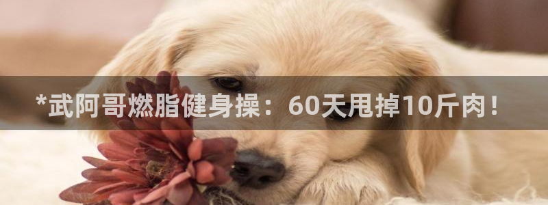 龙8国际电玩城