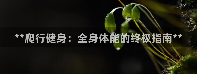 龙8官网手机版国际网页登录