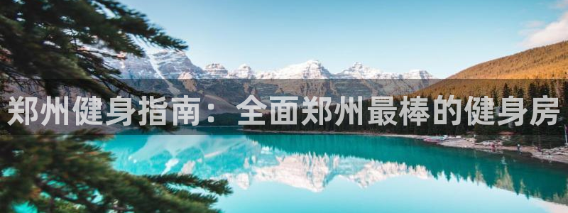 龙8国际玩家