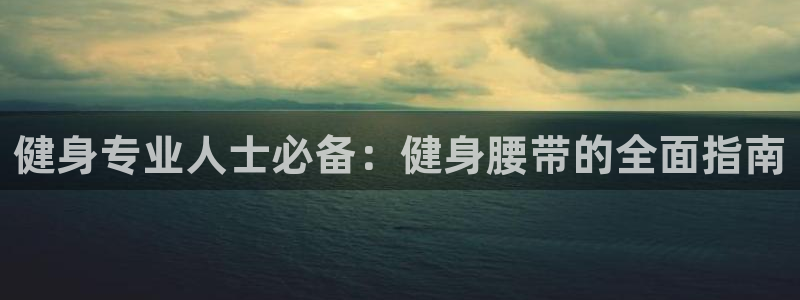 龙8国际是什么电影