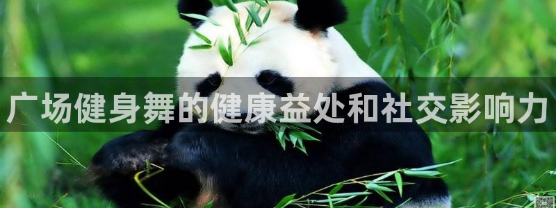 龙8国际怎么下载