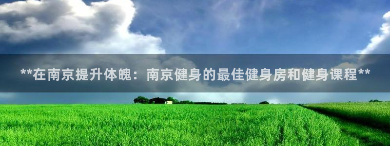 龙八国际pt