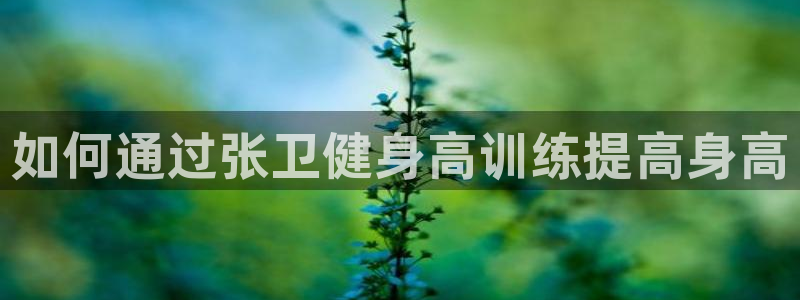 龙8国际游戏