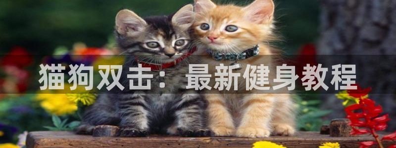 龙8电子游艺网址多少