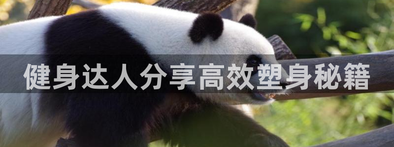 龙8国际为啥改名叫头号玩家了呢