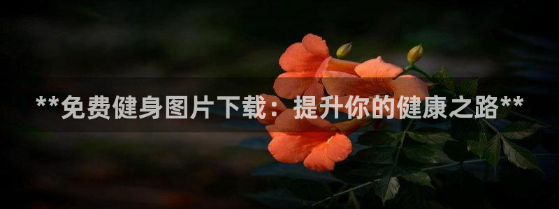 龙8国际黑吗