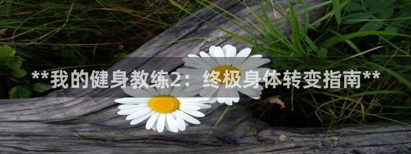 龙8国际登录口