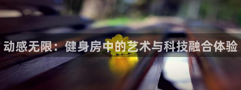 龙8国际网页版