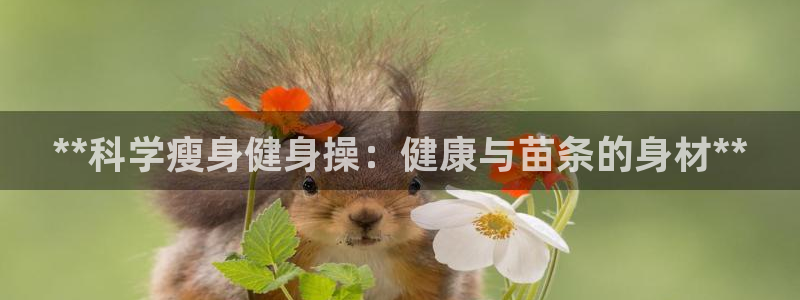 龙8国际app下载客户端