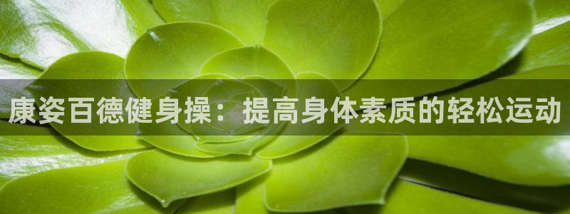 龙8国际long8官方版下载