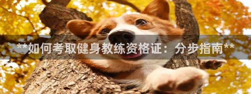 龙8国际手机版注册