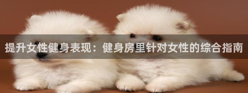 龙8国际中国官方网站