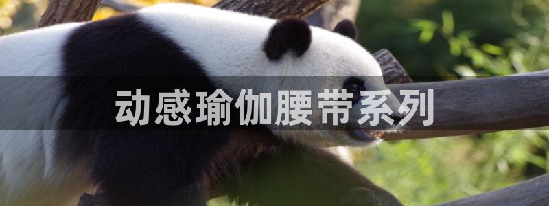 龙8国际安卓官方版fxzls-1.2.1 -安卓