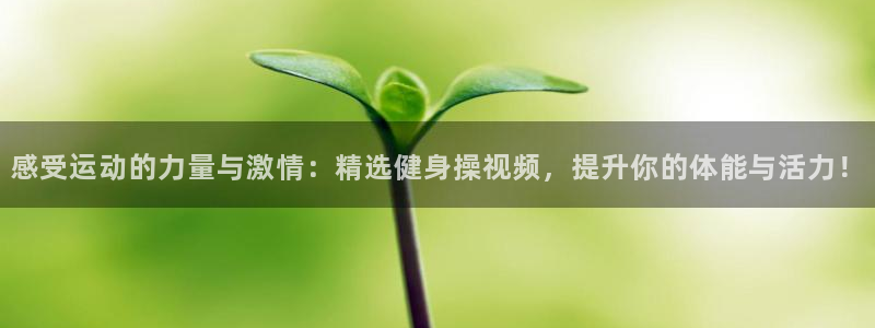 龙八国际下载链接