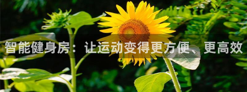 龙8国际游资如何