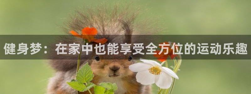 龙8国际手机版下载