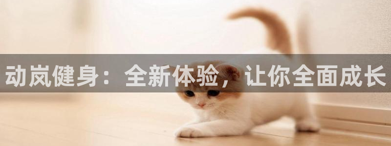 龙8国际官网app下载旧