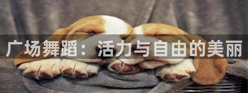 龙8国际官网手机登录