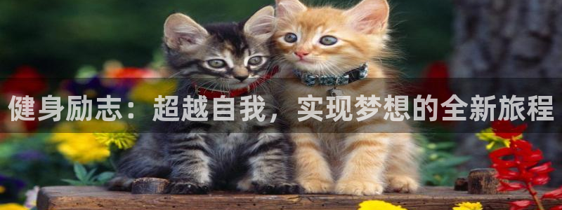 龙8国际龙8官方网站