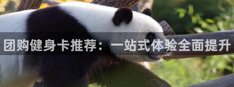 龙八国际app客户端下载