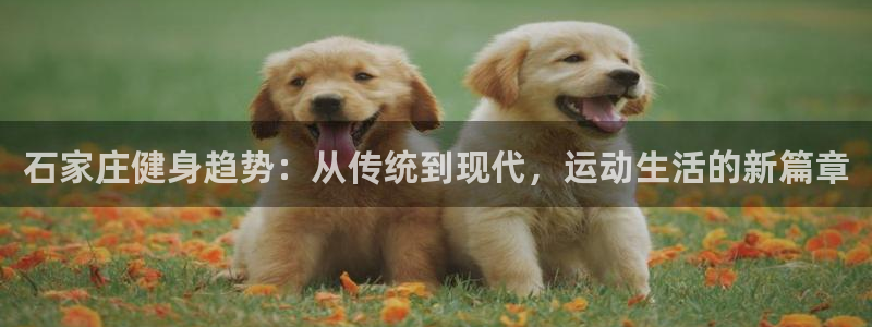 龙8国际手机版app