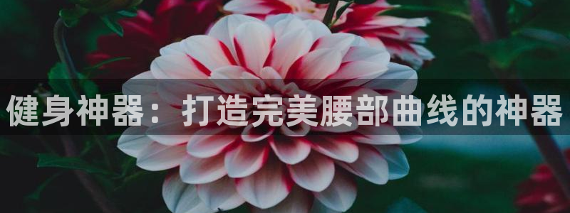 龙8国际2023官方版fxzls安卓-1.2.9 -安卓