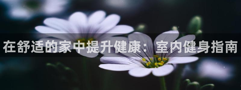 龙8国际官网多少