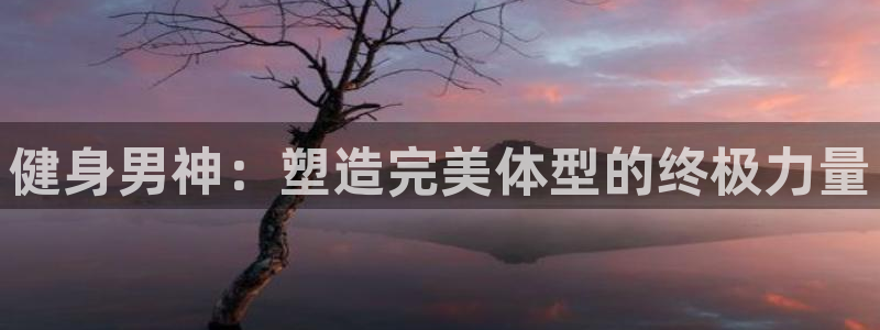 龙8国际平台官网