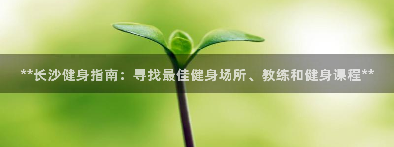 龙8老虎机网络游戏